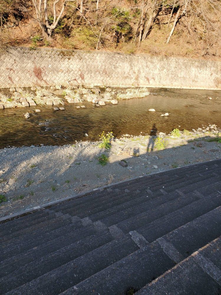 ふたりの影が伸びた 昼下がりの散歩道