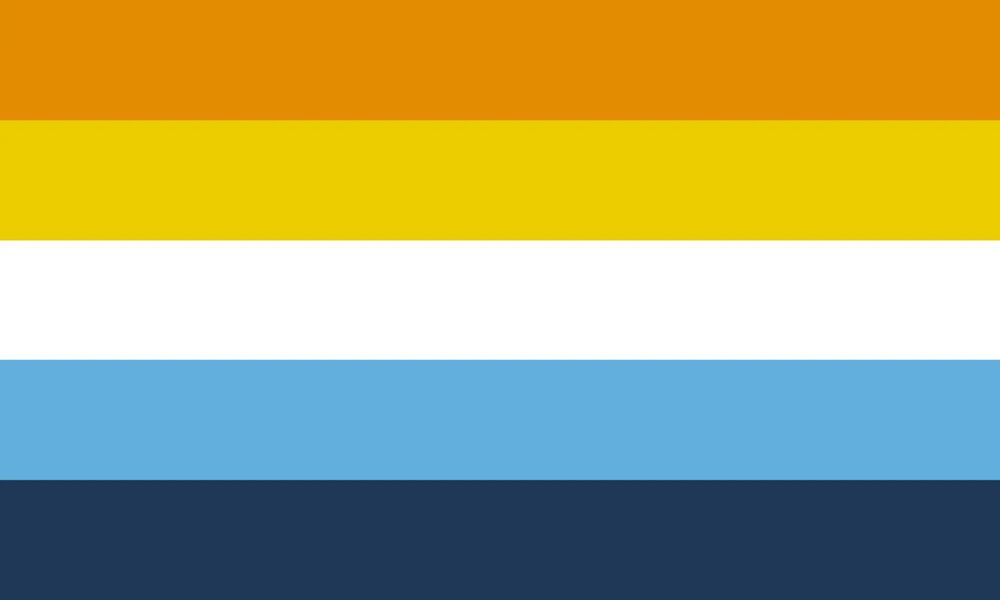 aroace flag

color stripes in order: orange, yellow, white, light blue, navy blue