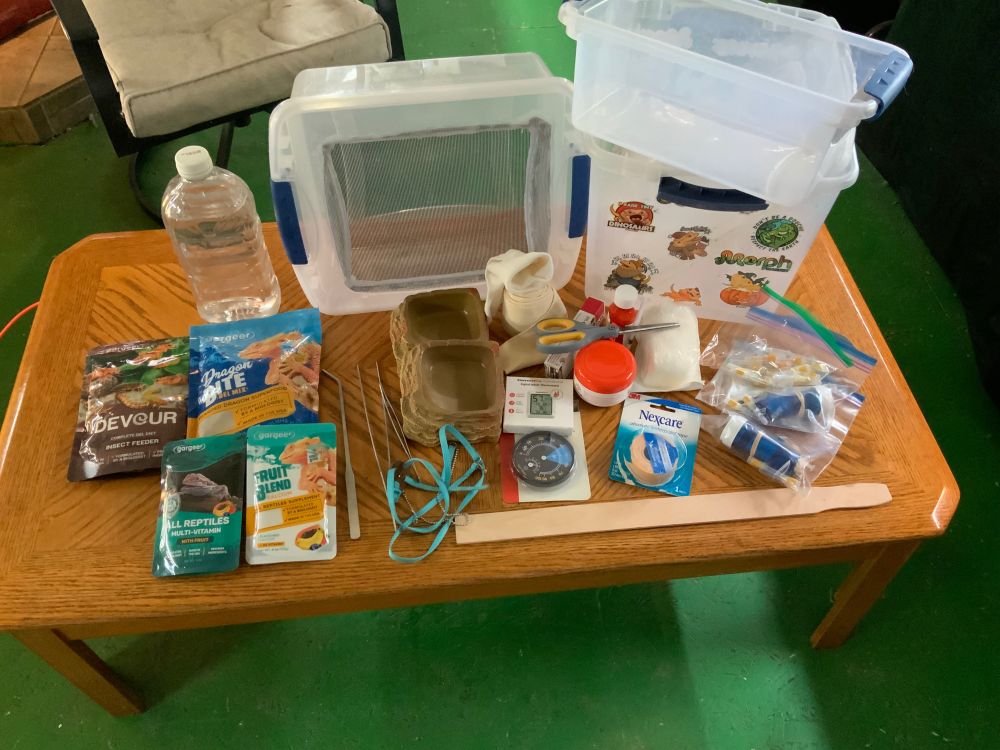 First aid basic kit for bearded dragons