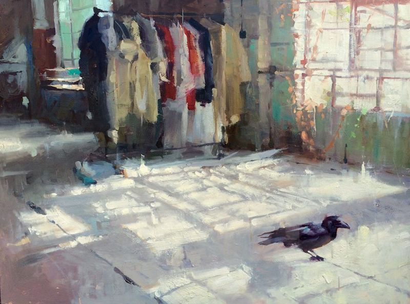 A raven basks in sunlight in an abandoned dry cleaner with rack of clothes in the background. 