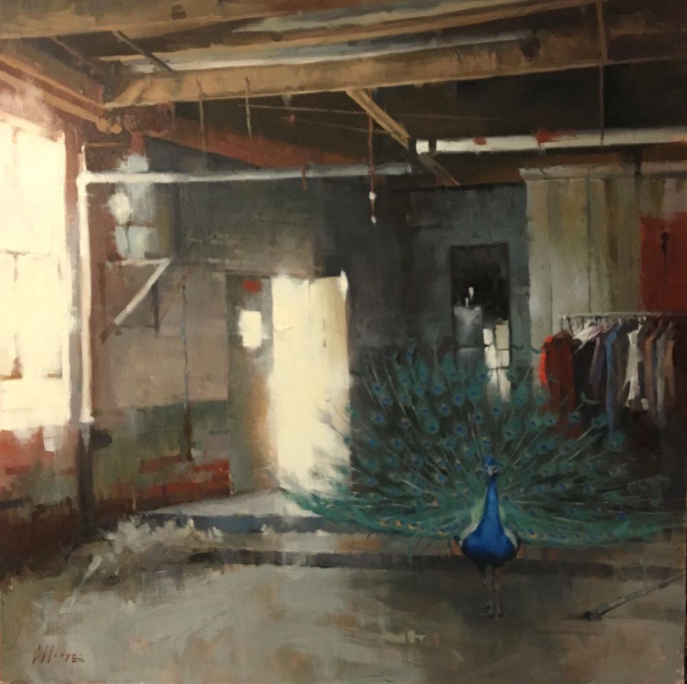 A peacock strutting his stuff in an abandoned dry cleaners with racks of clothes