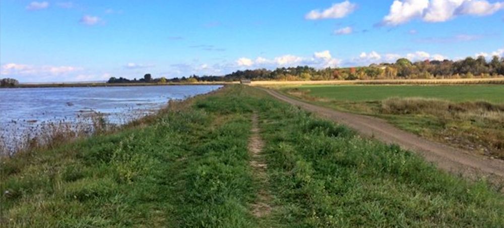 The town of Wolfville is an independent town within the Municipality of Kings County. Windsor is an independent town within Hants County.  Both towns are situated on the shore of the spectacular Minas...