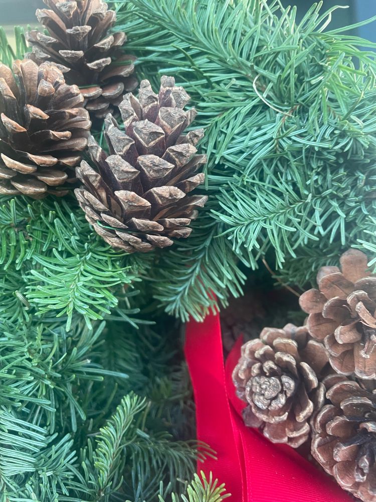 This image is a close up of a Christmas wreath. The majority of the picture shows deep green spruce and there are also two bunches of pine cones and some red velvet ribbon 
