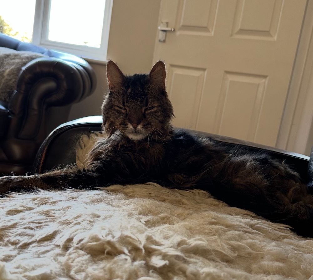 Tiggr