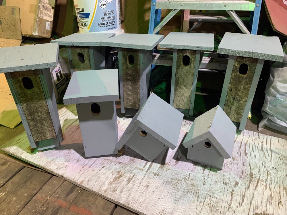 New birdhouses waiting for spring and a bird family to shelter and protect. 