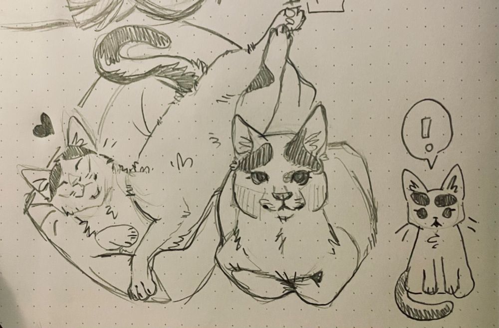 Pencil sketches of Tidus on paper. On the left matches his pose from the photo attached with a cat loaf center and a Tony doodle of him with an exclamation point over his head on the right