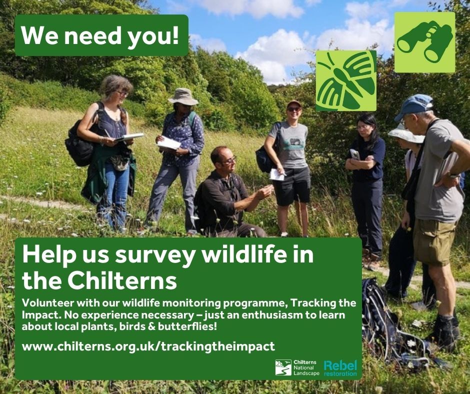 Poster with a photo of a group of people in a wildflower meadow and the words "We need you! Help us survey wildlife in the Chilterns".