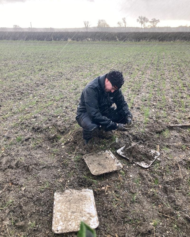 A man kneels in a field in the rain looking at soil samples.