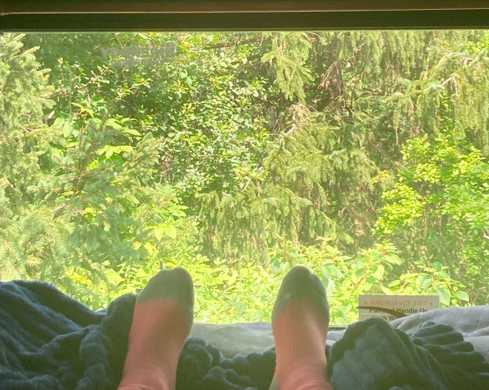 gray toed, pink socks cover a pair of feet nestled about small heaps of blue blanket. The window in front of these feet show lush green trees & vegetation. 