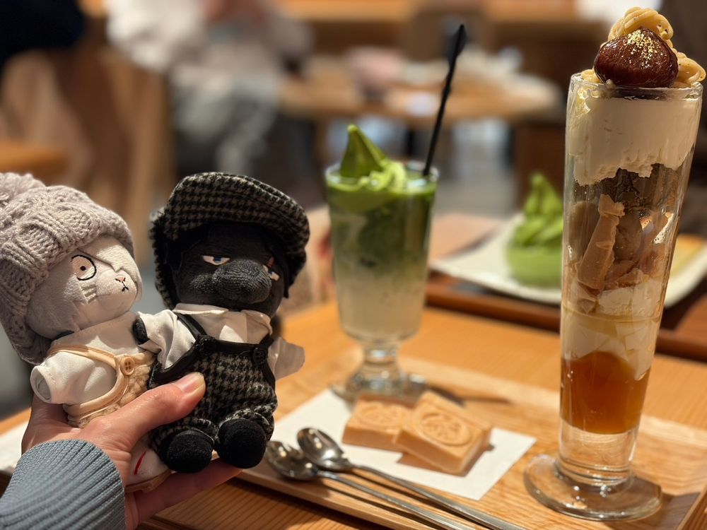 リア友撮影分(上手すぎｨ)