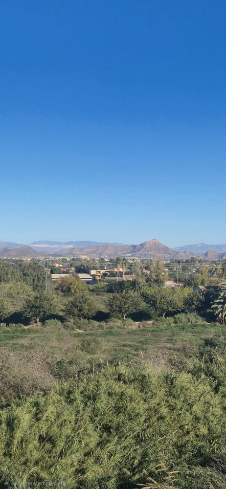 Nearby dog park is more green than usually thanx to rains in October and at the beginning of November. Almost 20 Celsius today yet people are wearing winter clothes in Murcia Spain. A child was playing with their dog, having fun. AI used to remove the child (even thou they were not even that visible in the photo). 