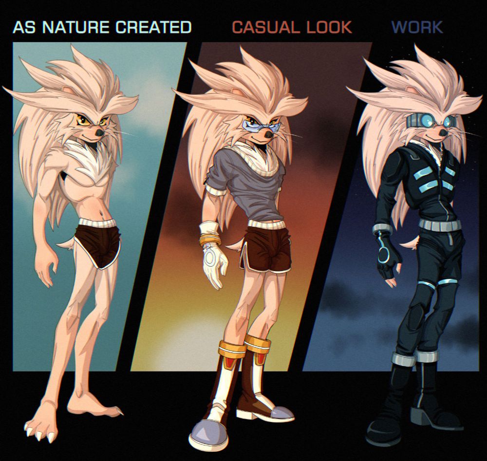 A character sheet for anthropomorphic version of Silver the Hedgehog in different outfits