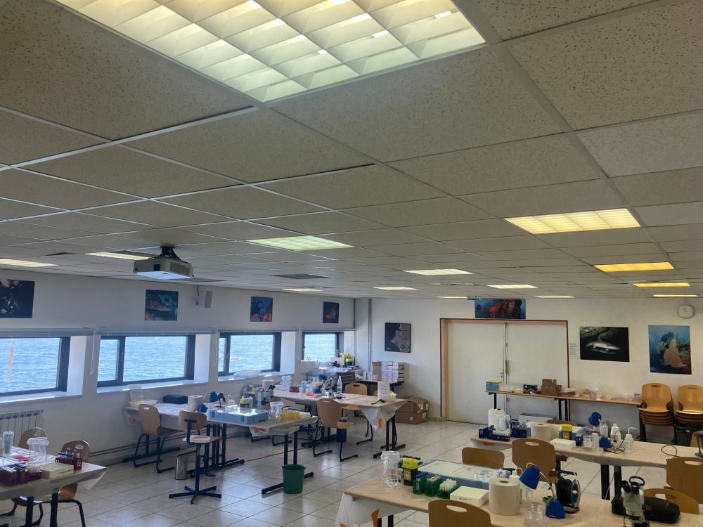 The sampling room in the Endoume Marine station in Marseille.