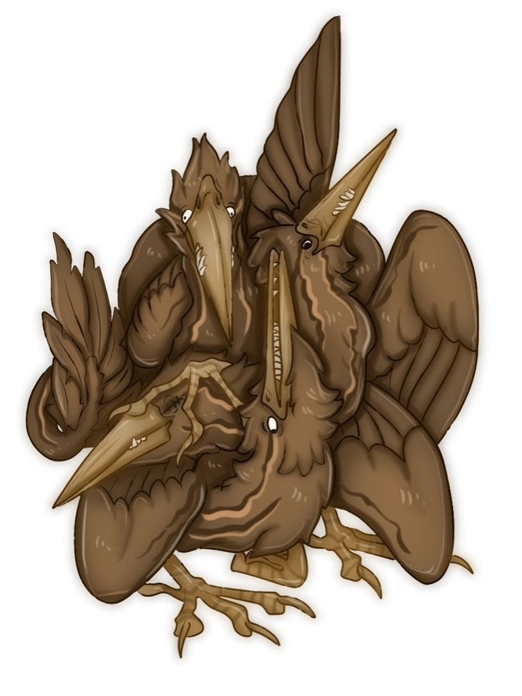 Bunch of dragon-bitterns staying too close to each other