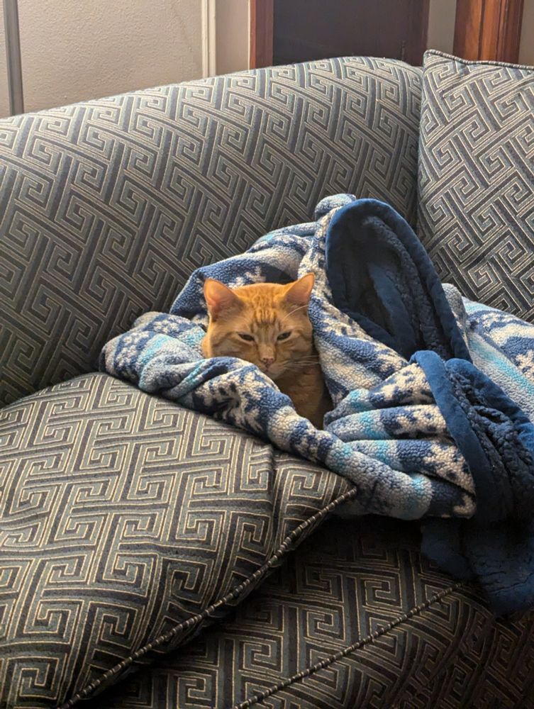 The same large, orange tabby reclines on the seat of the same blue couch, nestled in a fuzzy blue blanket and leaning against a pillow covered in the same upholstery fabric as the couch.