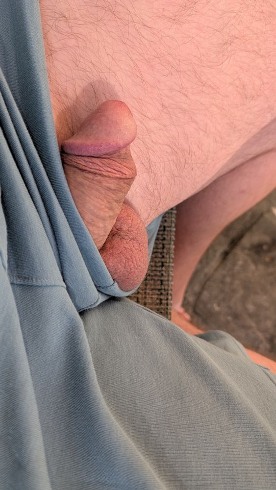 NSFW 
Gay Bear Cock slips out of shorts while sitting outside 