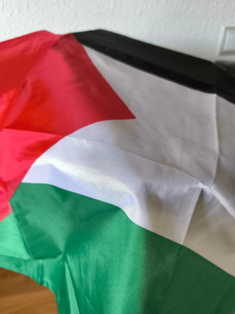 Bandera de Palestina sobre mesa de planchar 
