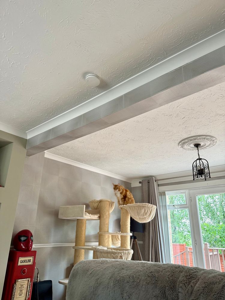 Gizmo the orange Maine Coon cat is - for a change - looking quite small in this picture. It’s taken from a distance as he sits on top of his cream cat tree. He’s looking out the opposite living room window (unseen) and has spotted a bird up a tree which is some distance away outside 😹😹 In the rest of the room there is a decorative red petrol/gas pump with a Spider-Man mask on top in front of the cat tree. The walls have silver patterned wallpaper on them. Behind Gizmo is a floor to ceiling window where the green trees he could be more focused on in the back garden are partially visible.