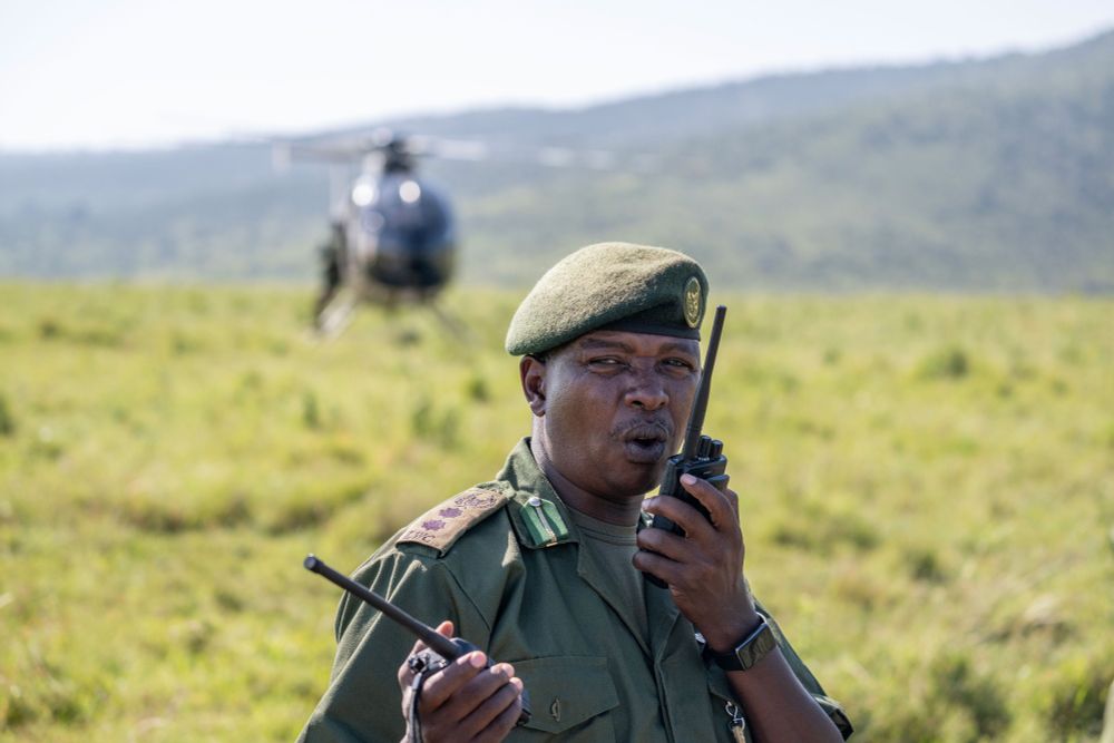 A ranger in uniform speaking into his walkie-talkie on a grassy field, with a helicopter in the background.