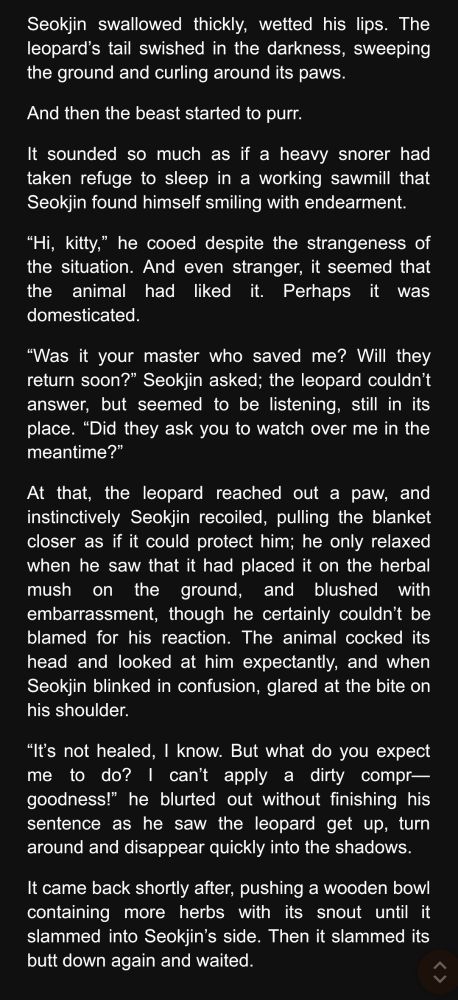Seokjin swallowed thickly, wetted his lips. The leopard’s tail swished in the darkness, sweeping the ground and curling around its paws.
And then the beast started to purr.
It sounded so much as if a heavy snorer had taken refuge to sleep in a working sawmill that Seokjin found himself smiling with endearment.
“Hi, kitty,” he cooed despite the strangeness of the situation. And even stranger, it seemed that the animal had liked it. Perhaps it was domesticated.
“Was it your master who saved me? Will they return soon?” Seokjin asked; the leopard couldn’t answer, but seemed to be listening, still in its place. “Did they ask you to watch over me in the meantime?”
At that, the leopard reached out a paw, and instinctively Seokjin recoiled, pulling the blanket closer as if it could protect him; he only relaxed when he saw that it had placed it on the herbal mush on the ground, and blushed with embarrassment, though he certainly couldn’t be blamed for his reaction. The animal cocked its head and looked at him expectantly, and when Seokjin blinked in confusion, glared at the bite on his shoulder.
“It’s not healed, I know. But what do you expect me to do? I can’t apply a dirty compr— goodness!” he blurted out without finishing his sentence as he saw the leopard get up, turn around and disappear quickly into the shadows.
It came back shortly after, pushing a wooden bowl containing more herbs with its snout until it slammed into Seokjin’s side. Then it slammed its butt down again and waited.
