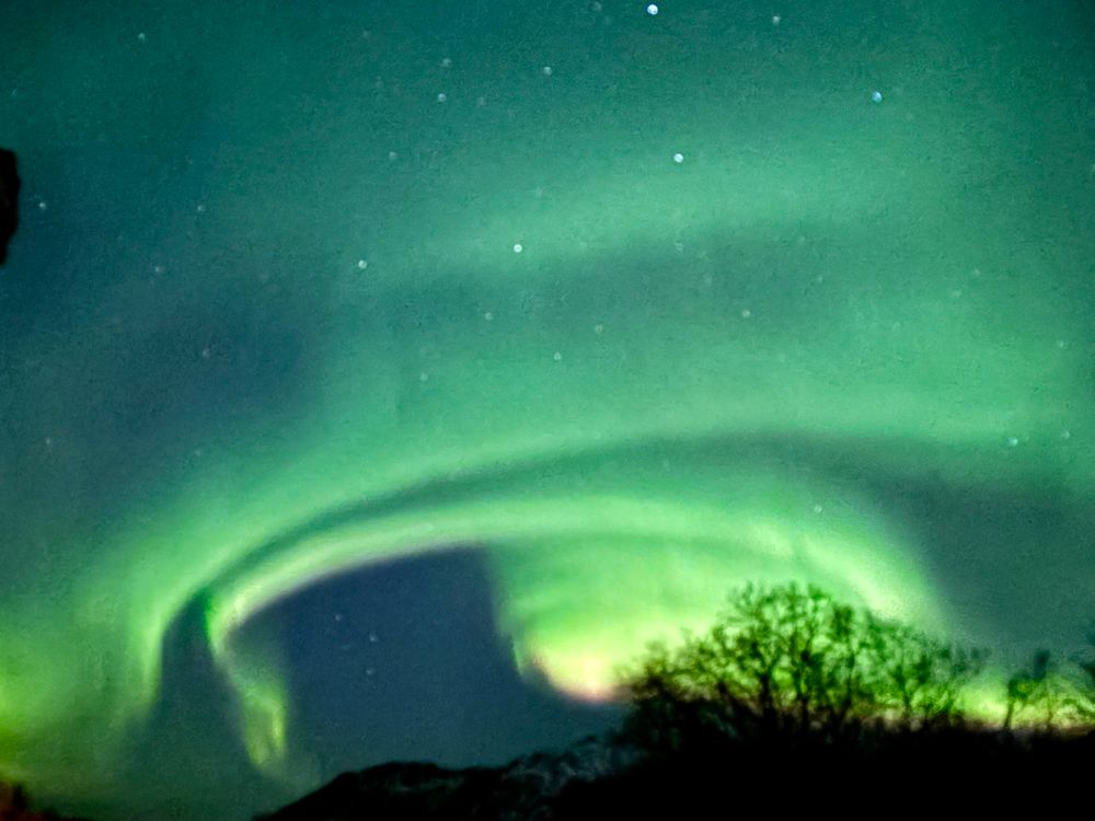 Greenish polar nights in Arctic winter