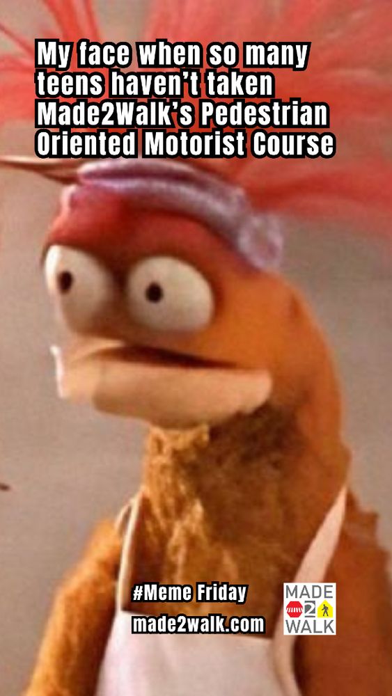 Meme Friday