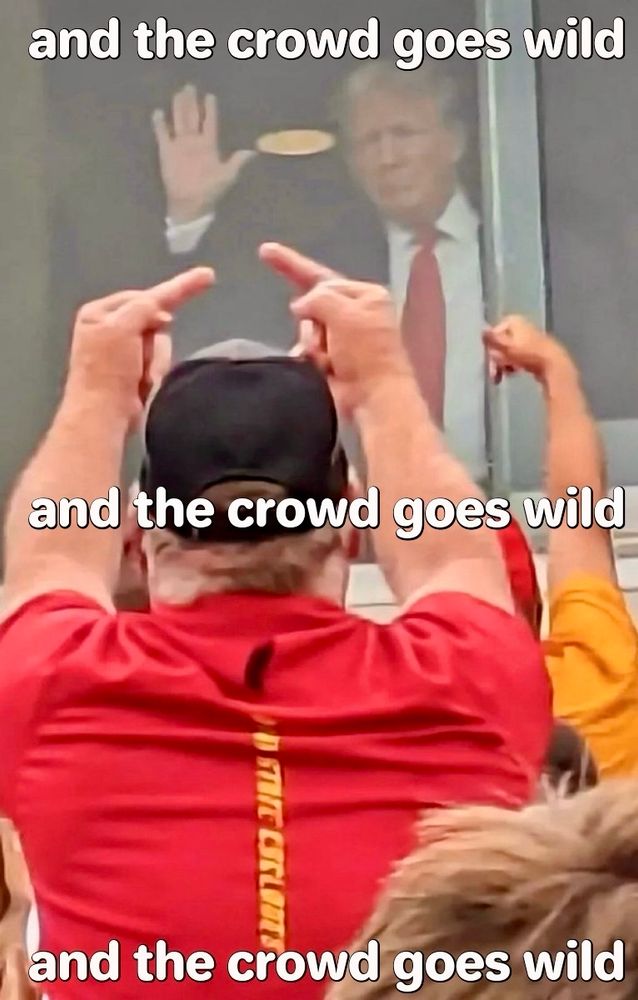 and the crowd goes wild and the crowd goes wild SIT CELE and the crowd goes wild