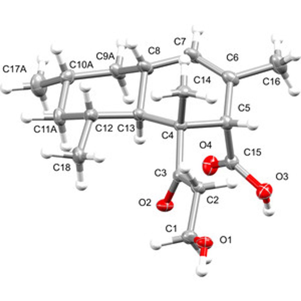 (1R,2S,4aR,6S,8R,8aS)-1-(3-Hy­droxy­propano­yl)-1,3,6,8-tetra­methyl-1,2,4a,5,6,7,8,8a-octa­hydronaphthalene-2-carb­oxy­lic acid