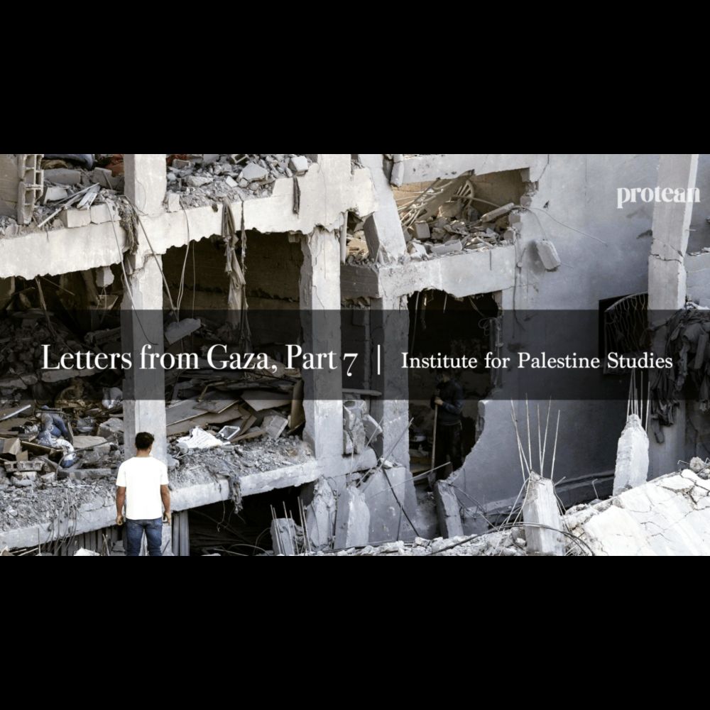 Letters From Gaza, Part 7 • Protean Magazine