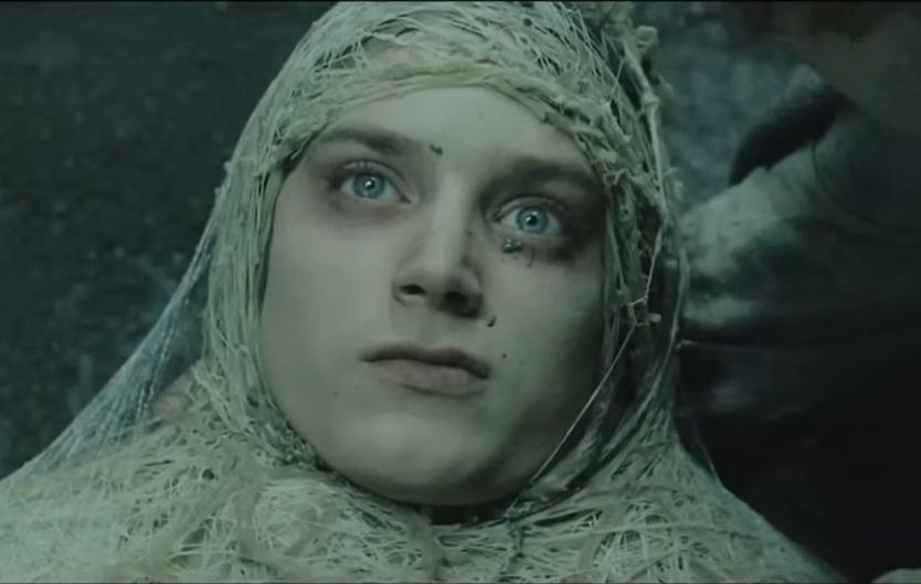 Frodo wrapped in Shelob's web