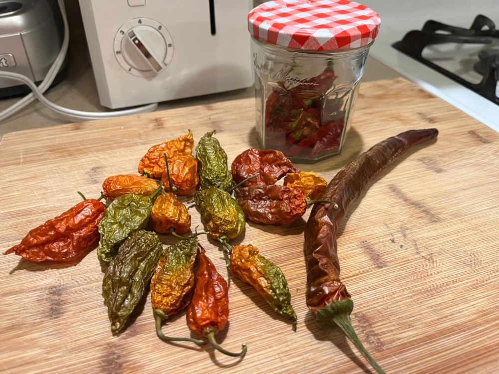 Dehydrated ghost peppers, Thai chiles, and one longhorn