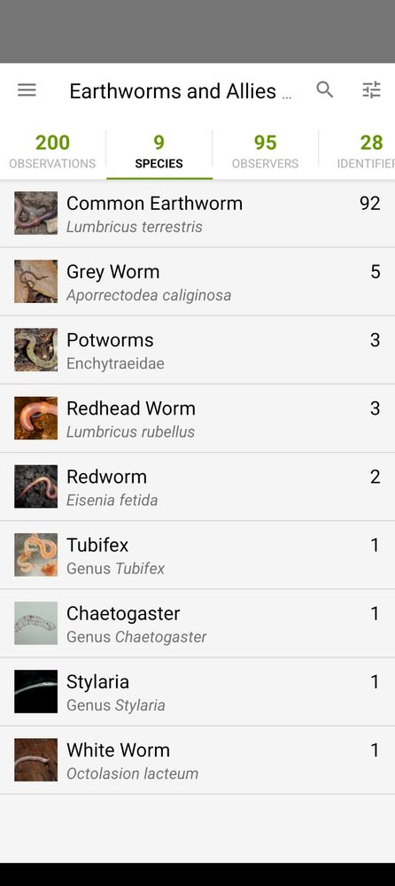 Screenshot of Earthworms and Allies group of species observed in Manitoba from the iNaturalist app. 9 species are listed. 