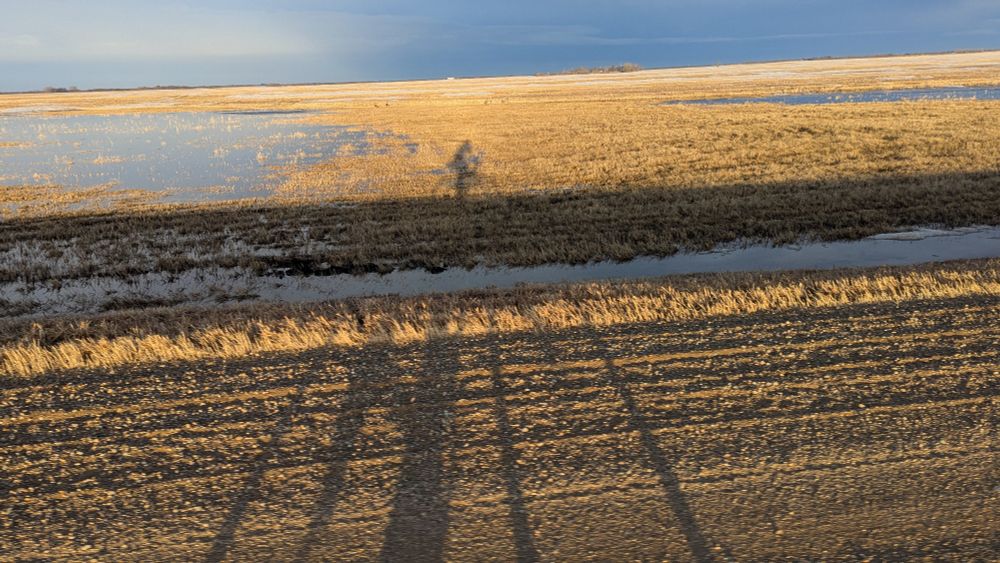 Long shadow of a cyclist on a gravel road in evening light. The shadow extends over snow in the ditch and a stubble field with pothole. The sky is dark with the rain which recently passed. 
