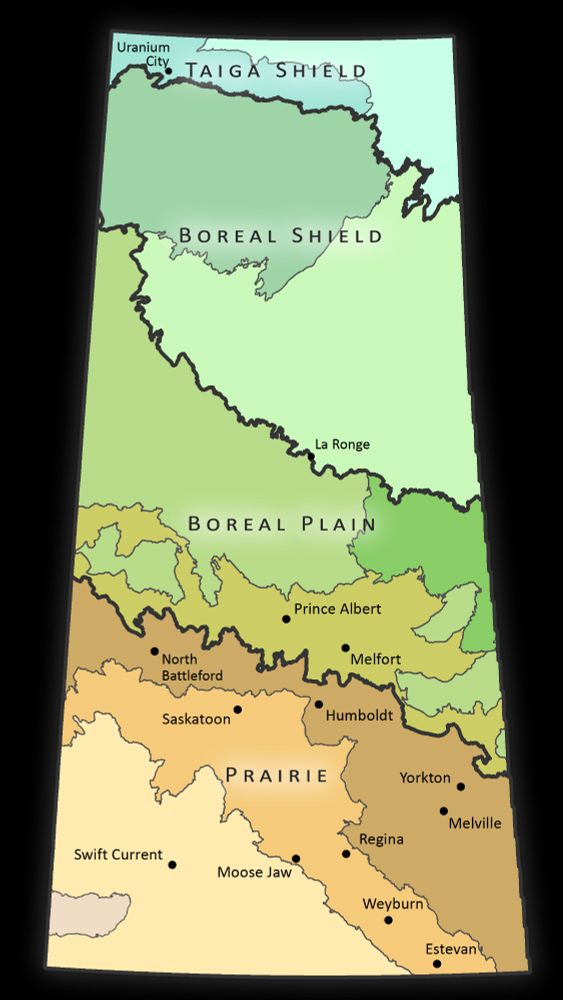 A map showing the ecoregions of Saskatchewan. The map shows the southern third being prairie while the northern region is divided into boreal plain, boreal shield and taiga shield.  Source: https://www.biodiversity.sk.ca/eco.htm