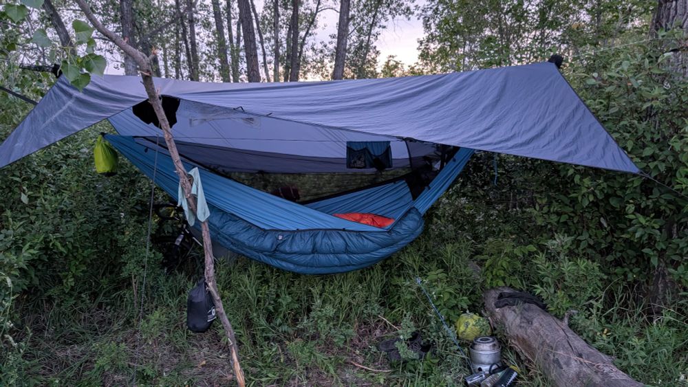 Hammock tent set up under a tarp among poplar trees. 