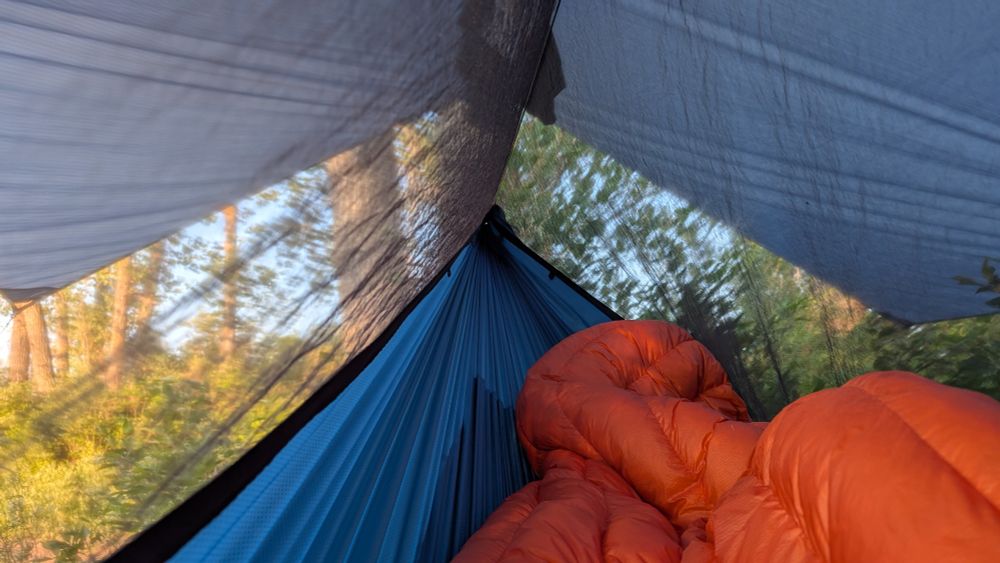 View inside the hammock surrounded in mosquito mesh. Blue hammock with an orange top quilt and a blue tarp overhead. The world outside is bright sunlit green and blue sky. 