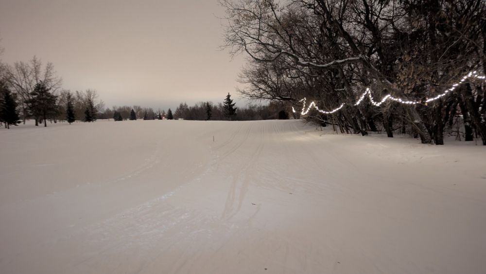 Night picture of the Wildwood ski trails in Saskatoon. The snow and ski are lit by reflected city light. There is a string of white lights in the adjacent bushes. Everything has a grey-orange cast. 