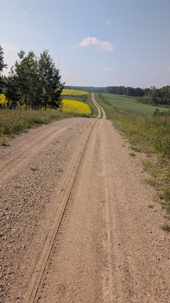 Gravel road through rolling hills surrounded by fields. 