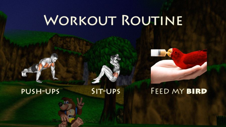 Workout Routine
Push-Ups, Sit-ups, Feed my Bird
THe background features Banjo giving a peace sign resting under a tree in a grassy area.