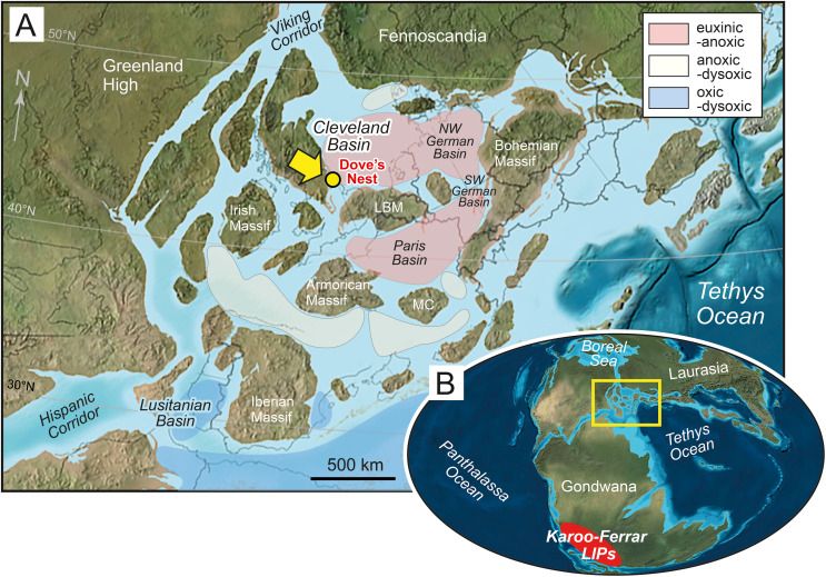 Early Jurassic palaeogeography, regional setting, and location of the Dove's Nest study core in the Cleveland Basin. (A) Palaeogeographical reconstruction of Europe showing location of the basin on the European epicontinental shelf; interpreted bottom-water redox conditions associated with the T-OAE are based on geological data and ocean circulation modelling (Ruvalcaba Baroni et al., 2018). Palaeolatitude based on the online palaeolatitude calculator of van Hinsbergen et al. (2015) at 183 Ma (https://paleolatitude.org) with the palaeomagnetic reference frame of Vaes et al. (2023). (B) Global palaeogeography of the Early Jurassic showing continent configuration, major ocean basins, and location of the Karoo–Ferrar Large Igneous Provinces (LIPs) that was emplaced during the early–middle Toarcian (Heimdal et al., 2021; Gaynor et al., 2022). Yellow box shows location of Europe map.

Palaeogeographical base maps modified from Blakey, 2012, Blakey, 2016.