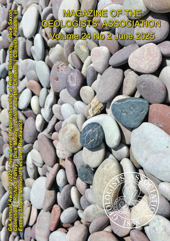 Black tourmaline pebbles amongst rounded quartzite pebbles on Budleigh Salterton beach, South Devon. © Ian Mercer.