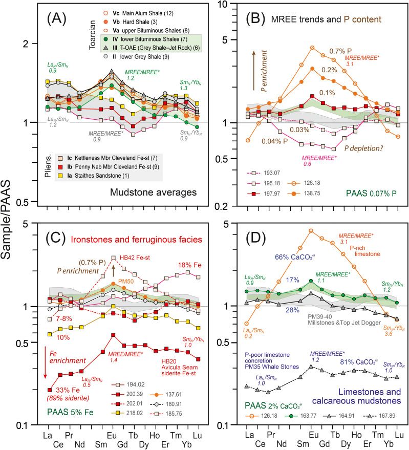 Comparison of PAAS-normalised REE patterns for main lithologies sampled in the Dove's Nest core. (A) Mudstone averages for individual chemostratigraphical units. Data filtered to remove low-aluminosilicate (< 10 % Al; sandstones, ironstones, limestones) and high phosphate (≥ 0.10 %) samples prior to calculation of average shale values (number of samples in parentheses). Coloured bands show the fields of average values for Subunits Ia–Ic (grey) and Units III and IV (green). Average values for Unit V also fall within the green-shaded interval. (B) Relationship between percentage P content (brown) and MREE patterns of selected samples (see Fig. 8, Fig. 10B). (C) Ironstones and ferruginous facies (see Fig. 5, Fig. 6). Percentage Fe contents (red) and bed numbers (HB20, PM50, HB43) of selected samples are indicated. Note the impact of P content on the MREE pattern (HB43 = 0.3 % P; PM50 0.1 % P; 218.02 0.05 % P). (D) Limestones and calcareous mudstones. Percentage CaCO3℮ values in blue (see Fig. 5). Note the expanded y-scale in A compared to B–D. Shading emphasises the contrasting REE patterns of oxic Pliensbachian Subunits Ia–c (pale grey) to anoxic–euxinic lower Toarcian Units III and IV (pale green). Bed numbers (PM = Port Mulgrave; HB = Hawsker Bottoms) and names of coast marker beds are indicated where appropriate (Table S1). Values in figure keys are sample numbers ( = m below core top). Symbol styles correspond to placement of samples within chemostratigraphical units (see D and Table S1). 