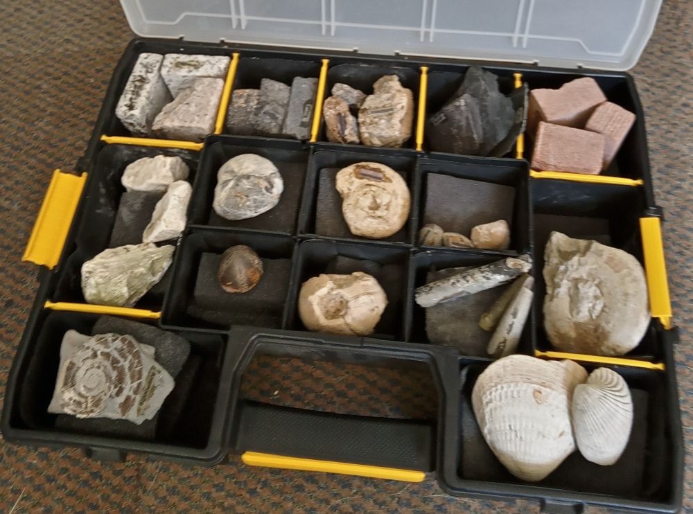 The SchoolRocks! Year 3 box. Each box contains child hand-sized specimens of igneous, sedimentary and metamorphic rocks. There are also fossils, hand lenses and some small fossils or minerals to be given to the children. In fact, everything you need to teach the Rocks and Soils section of the National Curriculum Year 3 Science.