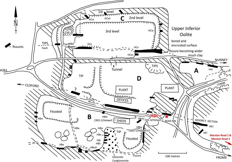Map of the Holwell Quarries of the quarries in April 1977 showing the positions of all the major fissures. A) Lime Kiln Quarry, B) Cree's Quarry, C) North Quarry and D) Coleman's Quarry. Redrawn from Copp (1980; fig. 69). Each fissure is labelled according to the locality, quarry and incremental numbering of the fissures (e.g., HBiv: Holwell, Cree's Quarry, fourth (iv) fissure).