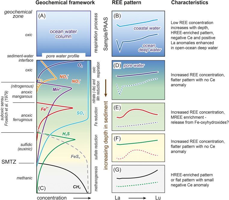 Schematic PAAS-normalised REE patterns of seawater and representative pore waters. (A, C) Data are plotted in a geochemical framework of increasing depth in sediment underlying an oxic water column. (B) Negative cerium anomalies characteristic of deep open-ocean water are generally lacking in (D–G) marine pore waters. Pore-water REE patterns (e.g., D, F) are typically flatter than those of seawater with MREE enrichment evident in (E) the anoxic ferruginous zone. (G) HREE enrichment may occur under methanic conditions. The thicknesses of the oxic and anoxic manganous zones range from mm to cm in organic-rich shelf and upper slope sediments, to m in organic-lean deep-water pelagic settings. REE patterns compiled from Haley et al. (2004), Kim et al. (2012) and Chen et al. (2015). Geochemical framework (C) adapted after Canfield and Thamdrup (2009). SMTZ is the sulfate (SO4)–methane (CH4) transition zone. 