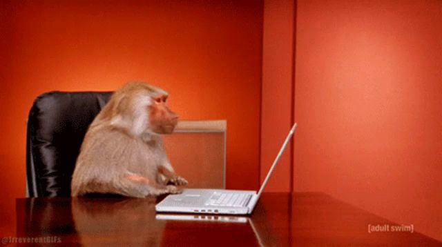 a monkey sits at a desk in front of a laptop with the words adult swim visible