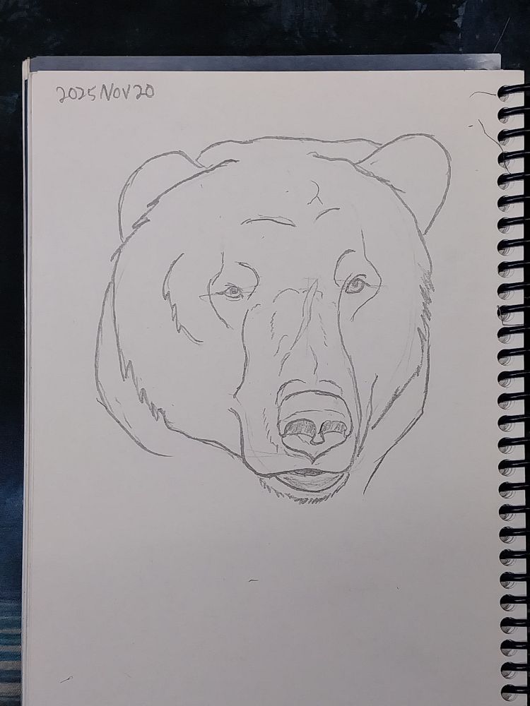 Pencil sketch of a bear head
