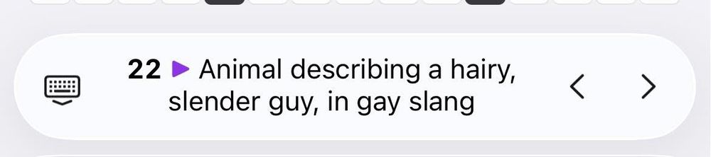 Animal describing a hairy, slender guy, in gay slang.