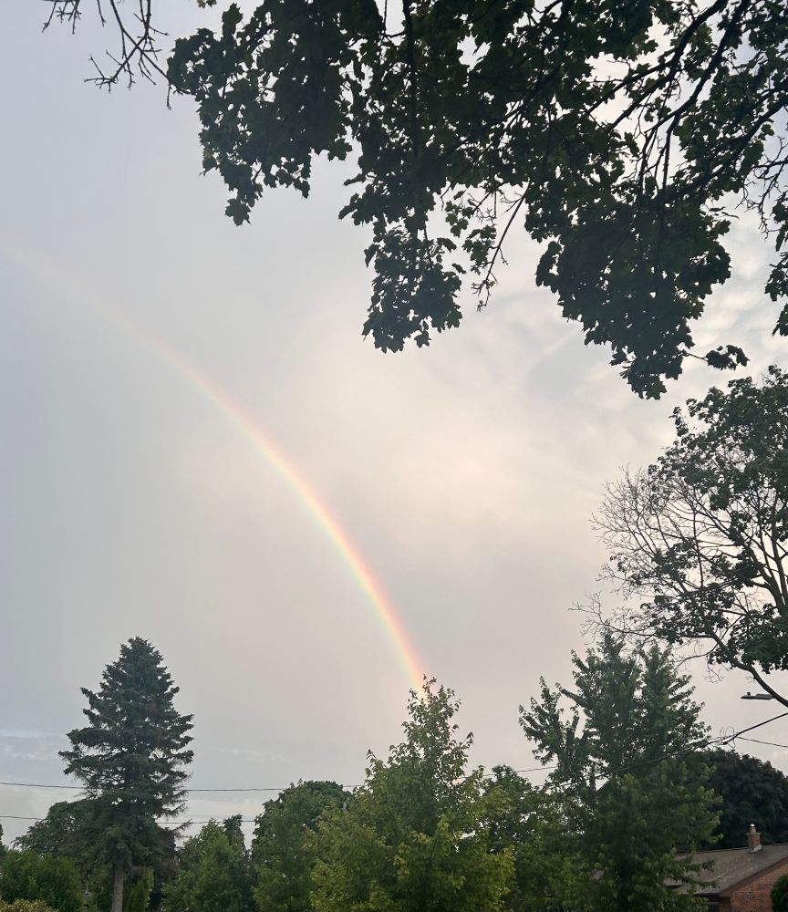 A damn good rainbow, slightly doubled, seen over trees