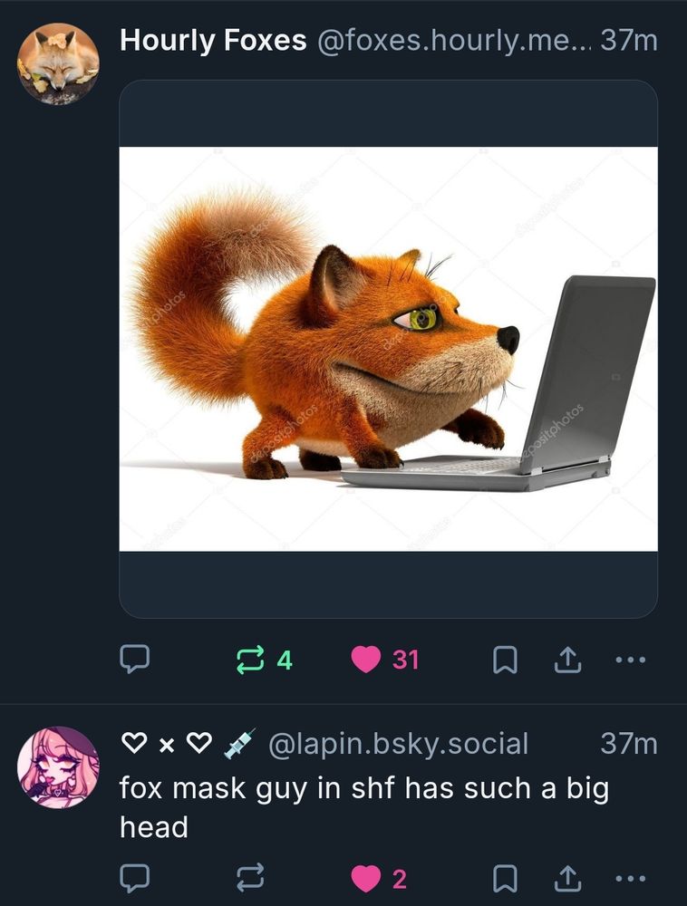 A post by @laplin.bsky.social saying: "fox mask guy shf has such a big head" with a post by @foxes.hourly.media above. The post by foxes.hourly is an image of a very cursed looking... fox? I don't even know how to describe it I'mma be honest, it's like- imagine a foxes head and then attach legs and a tail to it. It's typing on a laptop too, I think? What the fuck is going on